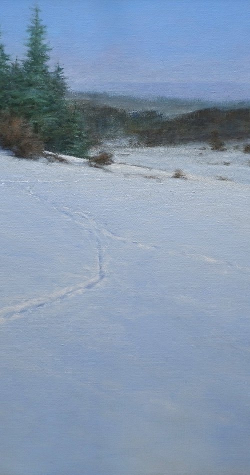 Snowlandscape by Gerard Kramer