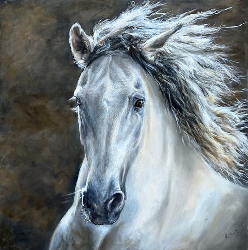 Andalusian horse by Una Hurst