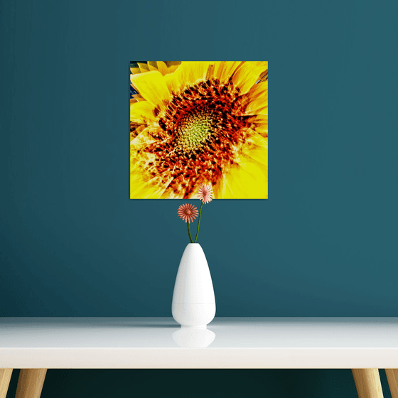 Abstract Sunflower. Limited Edition Abstract Photograph Print  #1/50. Closeup of a sunflower abstraction.