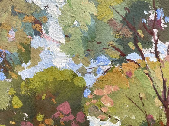 Trees of Santa Ponsa