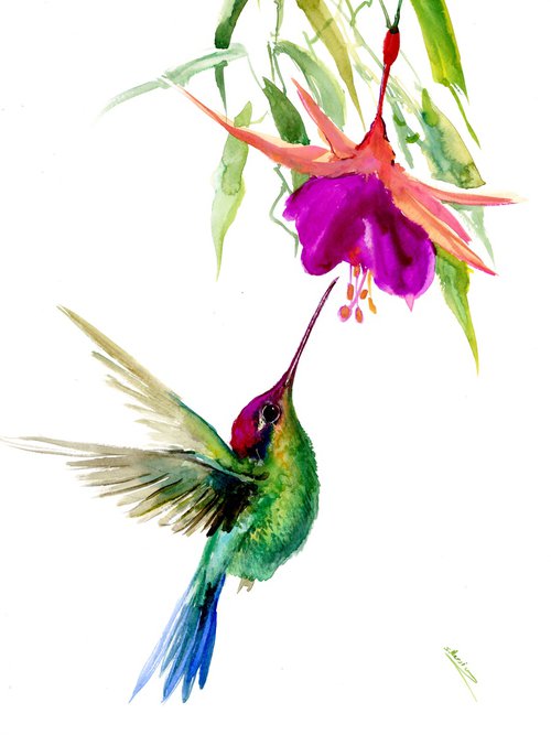 Hummingbird and Fuchsia by Suren Nersisyan