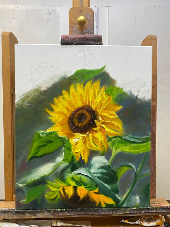 Sunflower