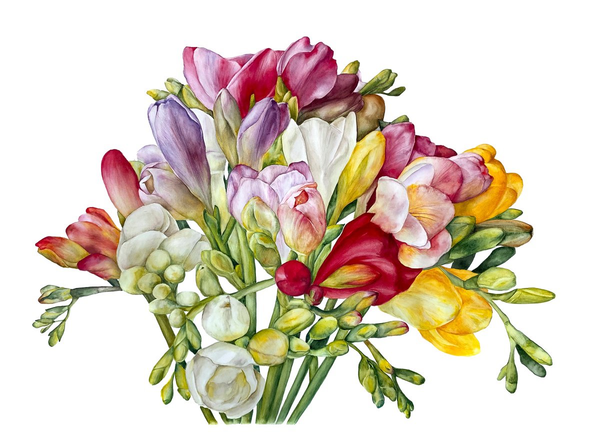 Photorealistic Botanical Watercolour By Anna Lyashenko, 30 X 22, Freesia Bouquet, Original Artwork