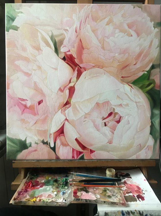 THREE PINK PEONIES