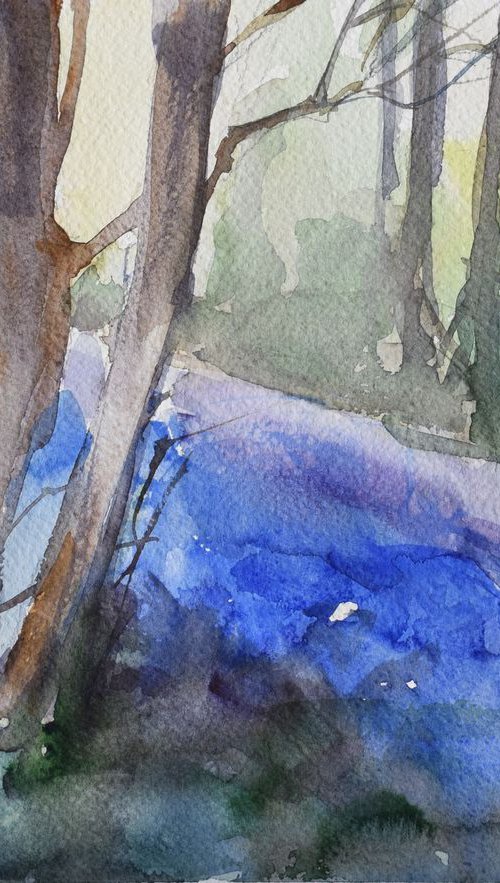 Bluebell woods ,Cornwall IIIa by Goran Žigolić Watercolors