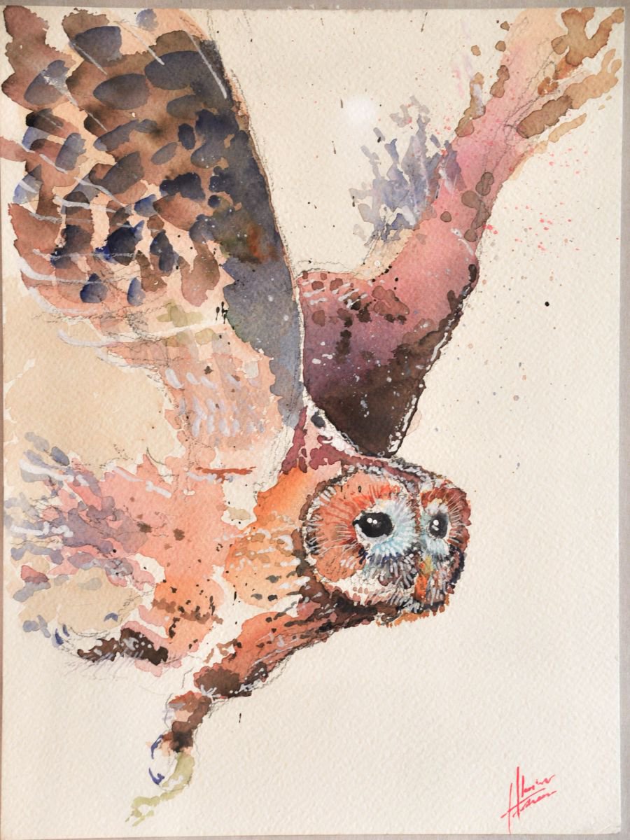 Expressive Animal Watercolour By Flavio Furlan, 9 X 12, Volo Silenzioso, Original Artwork