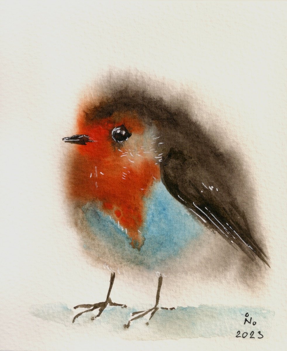 Fluffy robin by Ilona Borodulina