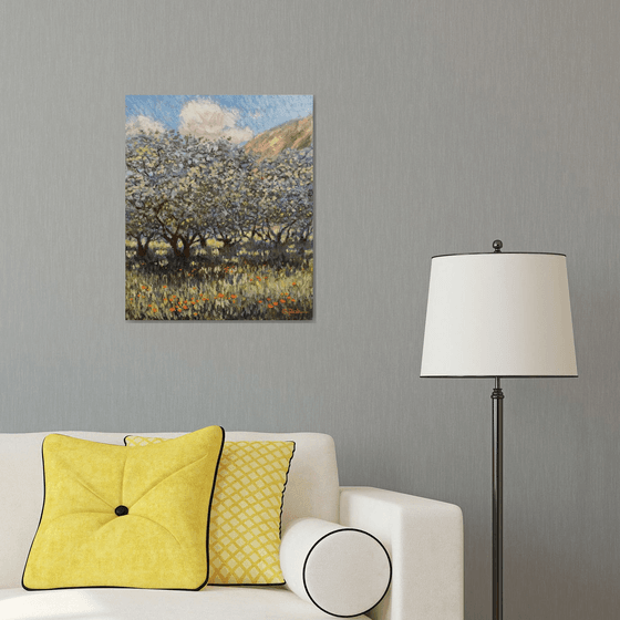 Olive groves of Provence