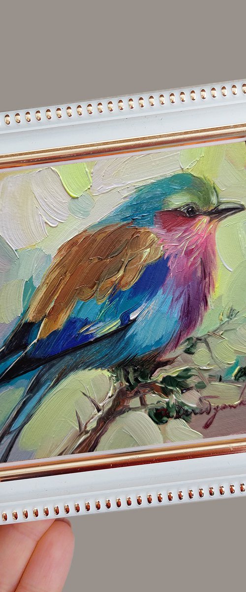 Roller bird painting by Nataly Derevyanko