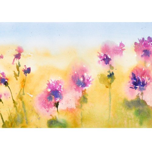 Cornflowers by Flavio Furlan