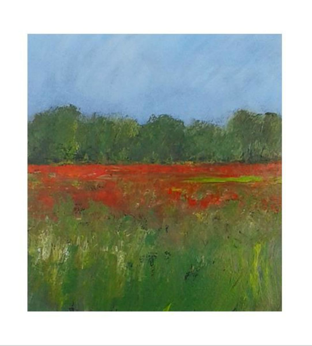 Poppies on Pewley Down, Surrey II by Jan Rippingham