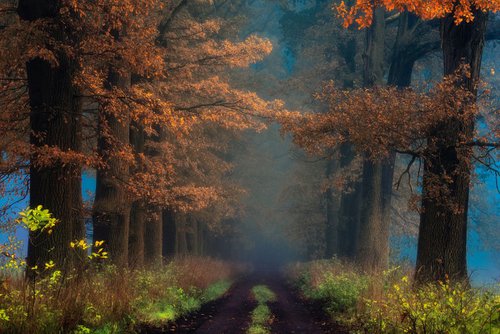 Shaman_s road on the other side by Janek Sedlar