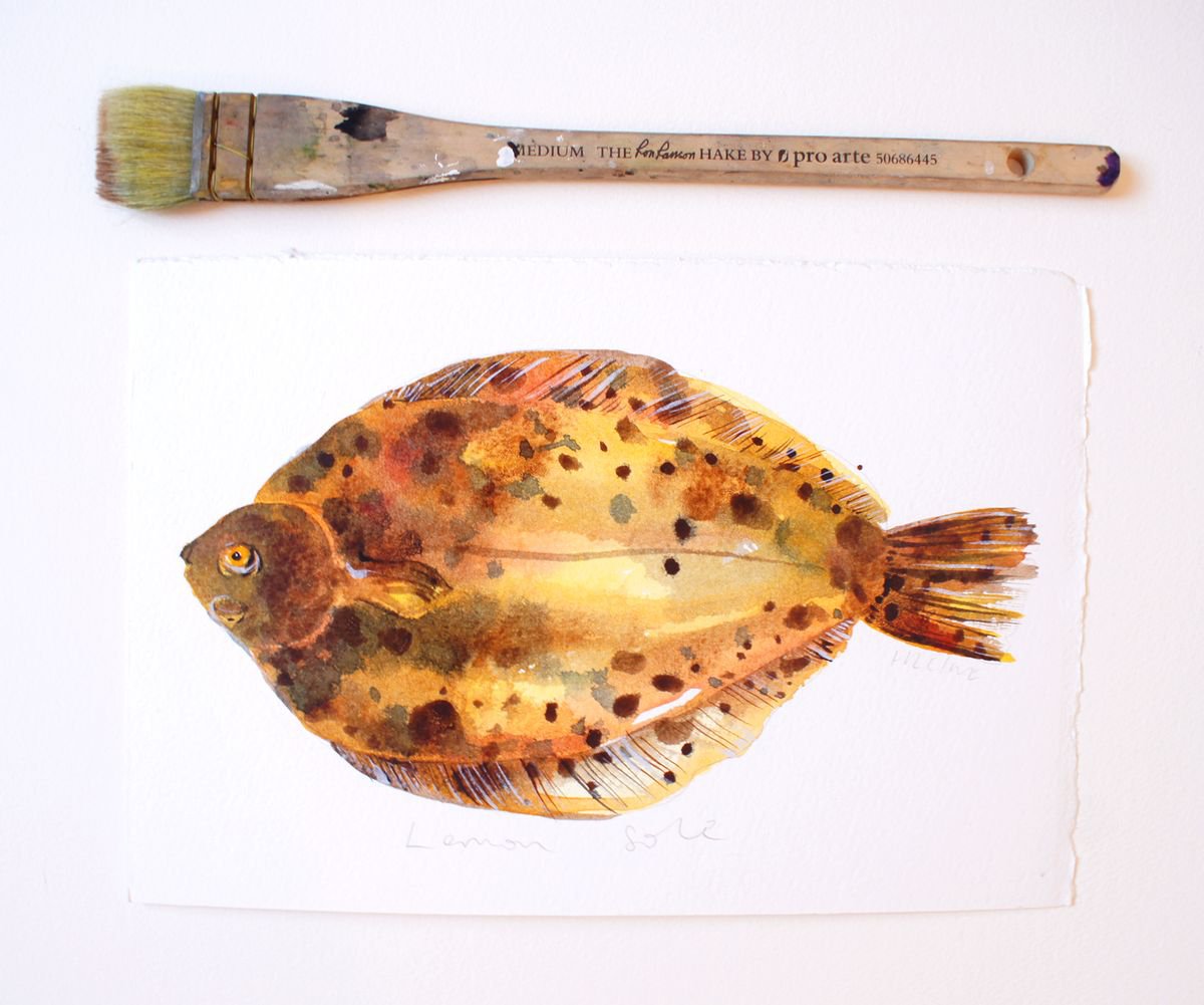 Lemon Sole Fish Watercolour by Hannah Clark