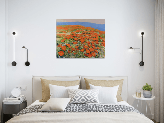 California Poppies, Superbloom