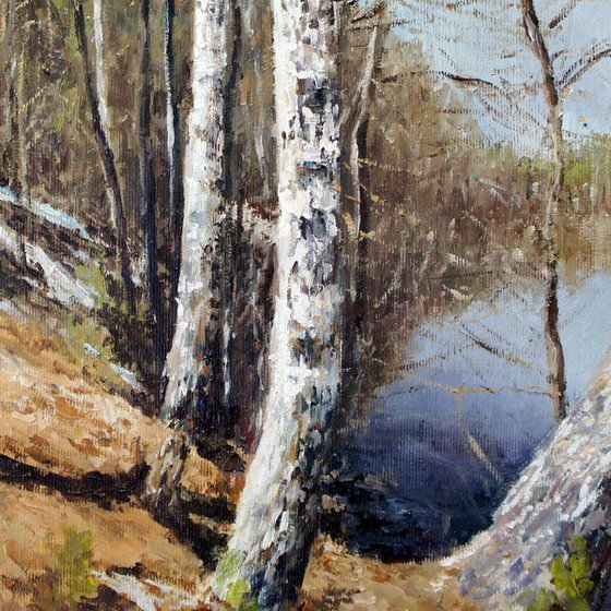 Birch Trees on the Riverbank