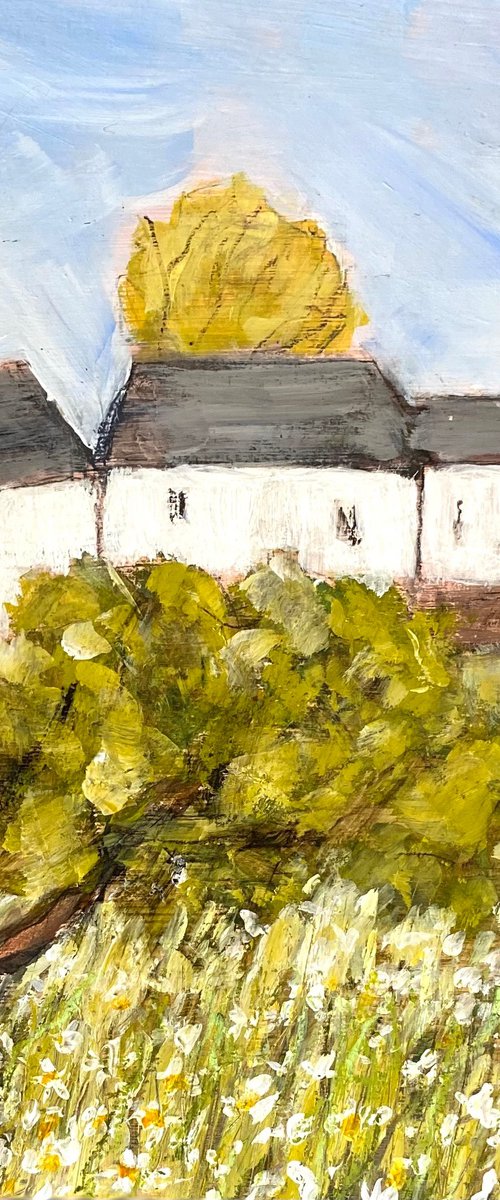 Daisies And Cottages by Nikki Wheeler