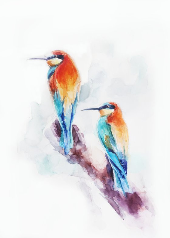 Couple of colored birds