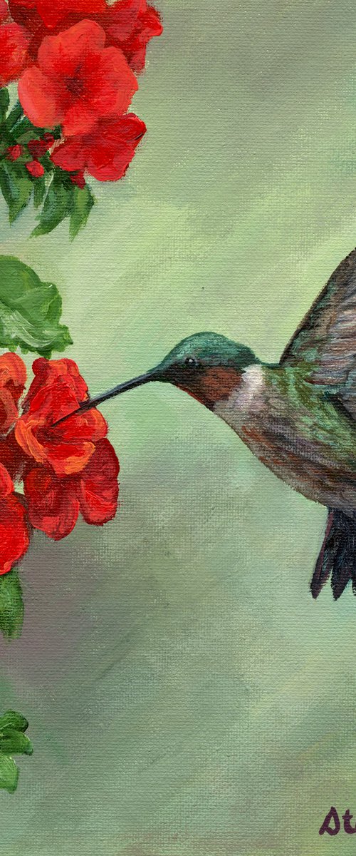 Hummingbird Happiness by Steph Moraca