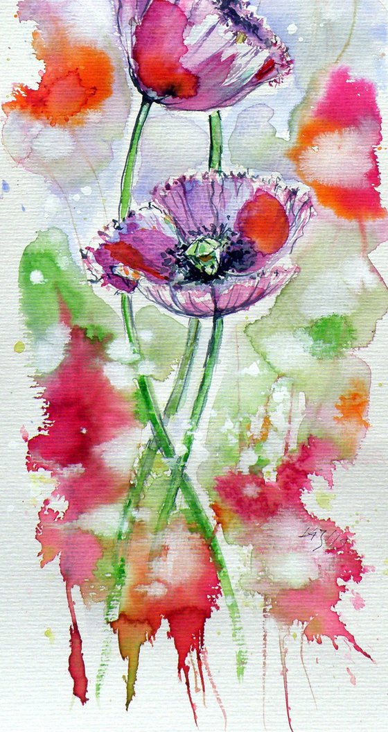 Poppies of summer III
