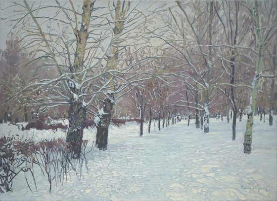 Snow-covered boulevard in Maryino