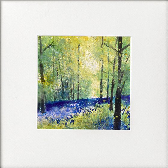 4 bluebell watercolours