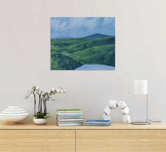 In the Wicklow Mountains, Irish Landscape