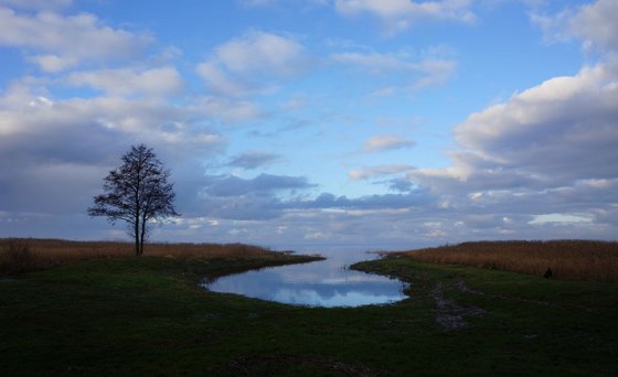 Photography | Curonian Lagoon | Mirrors of Curonian Lagoon II