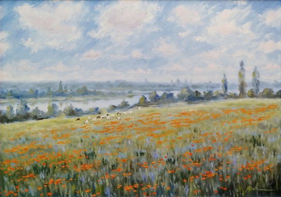 At the edge of the poppy field