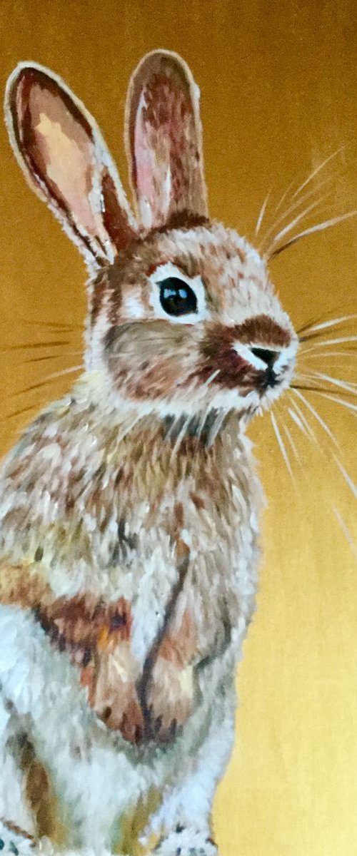Honey bunny 5 by Olga Koval