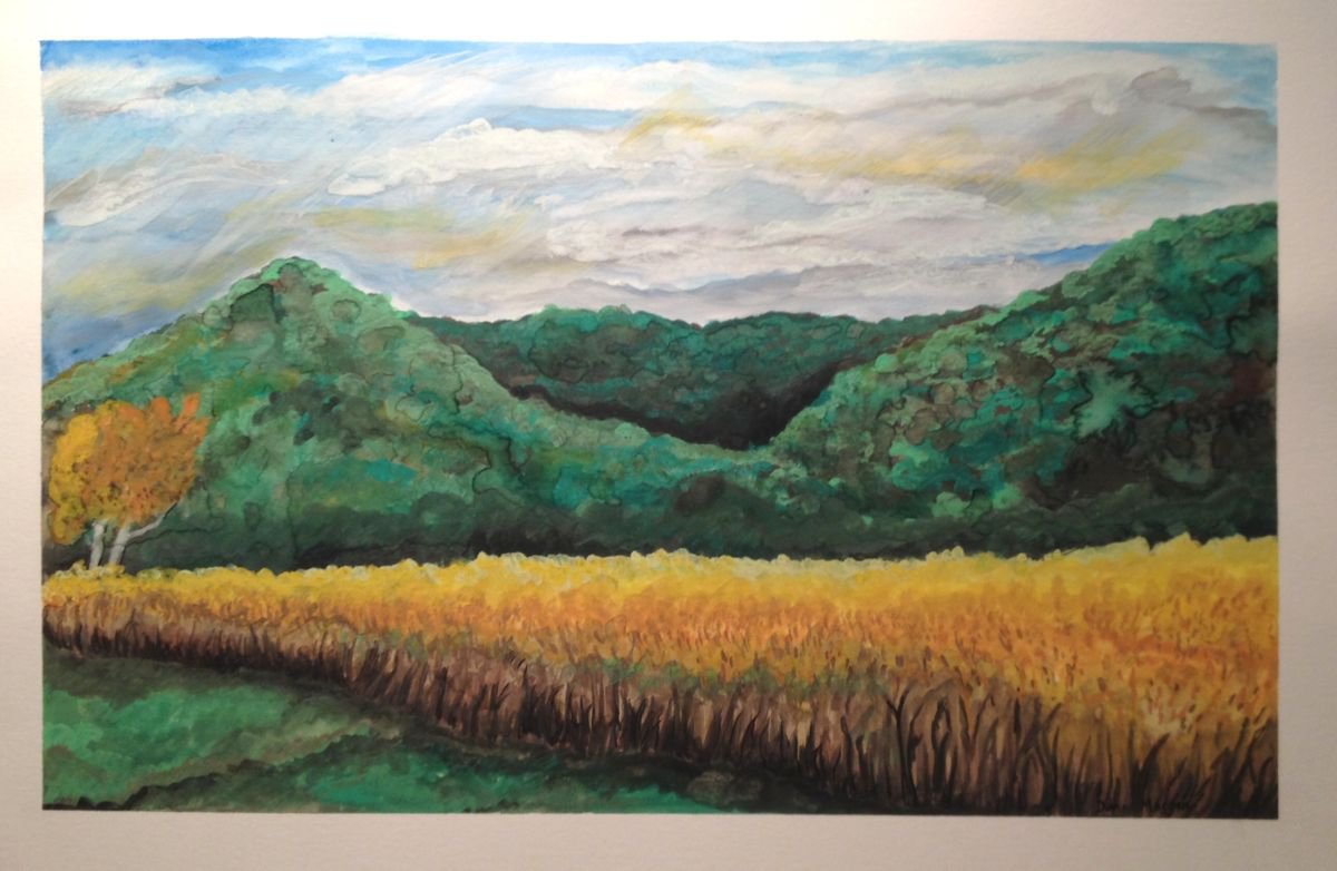 Late Summer Cornfield, Red Lick Valley, Kentucky by Donna Daniels