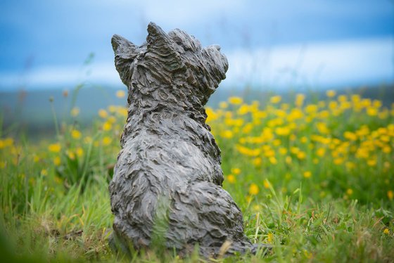 West Highland Terrier FB