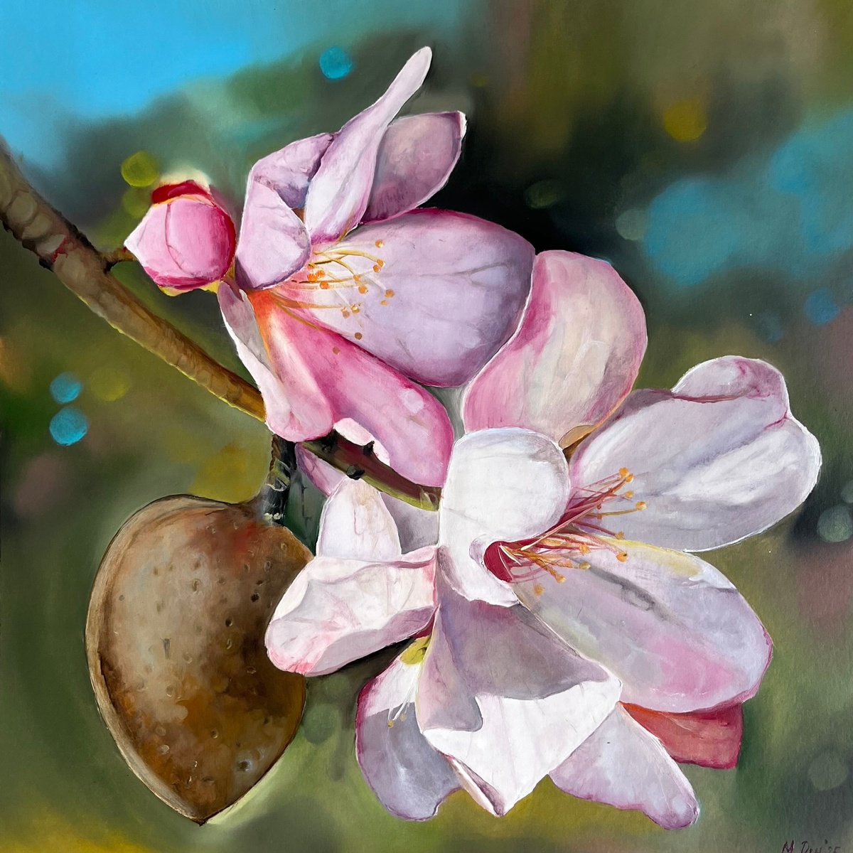 Photorealistic Botanical Oil Painting By Myroslava Denysyuk, 12 X 12", Almond Blossom 30X30 Cm, Original Artwork