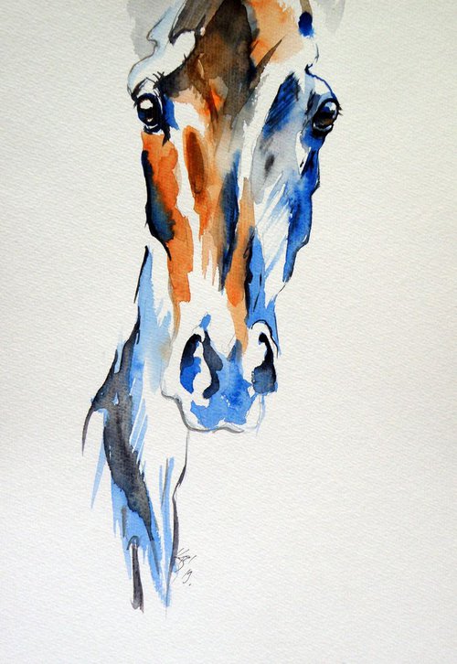 Horse portrait by Kovács Anna Brigitta