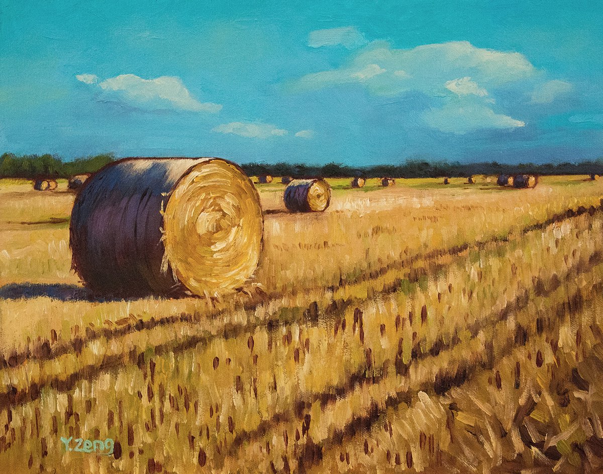 Landscape rolled up dry straw by Yue Zeng
