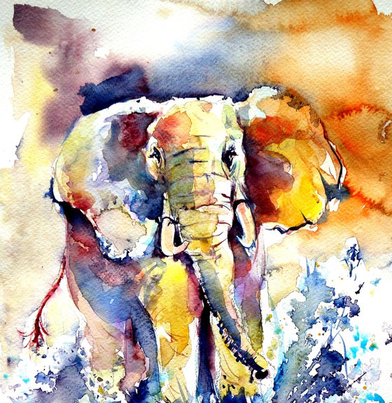 Elephant