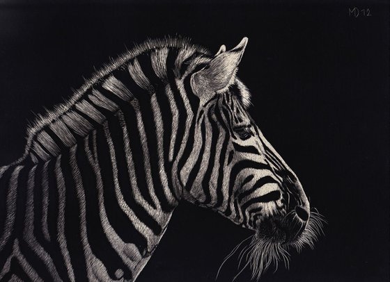 Zebra Portrait