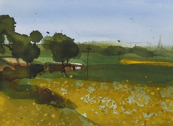 Fleeting gimpse_ mustard yellow 1