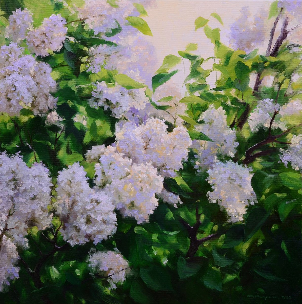 Impressionistic Botanical Oil Painting By Ruslan Kiprych, 20 X 20", Flickering White Lilac, Original Artwork