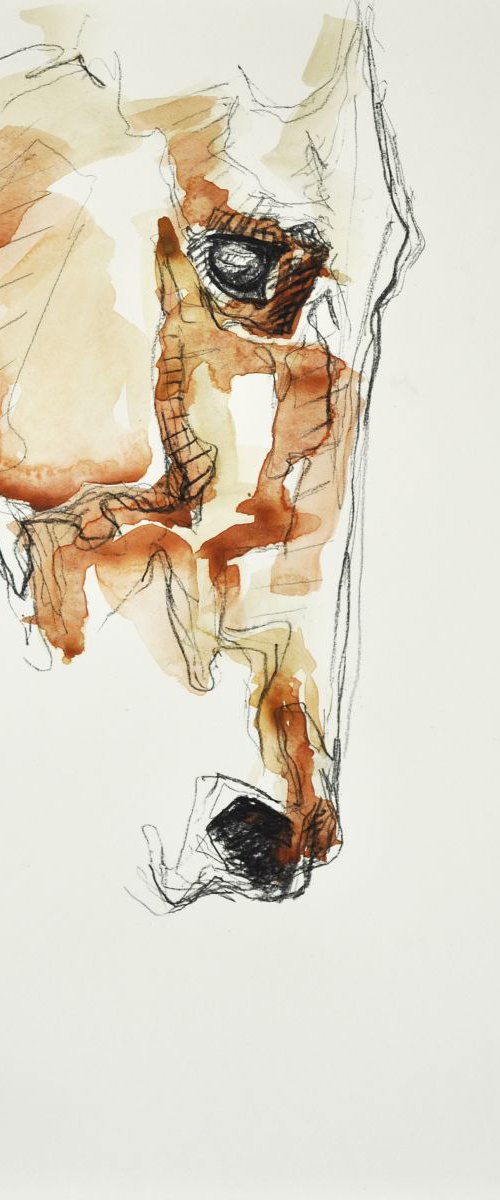 Equine Nude 21t by Benedicte Gele