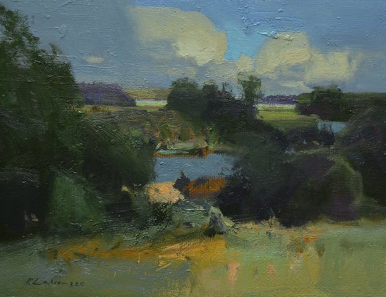 Summer Reflections
