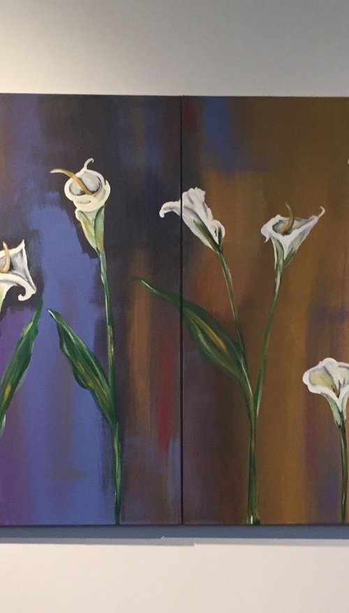 White Cala Lilies by Carolyn Shoemaker (Soma)