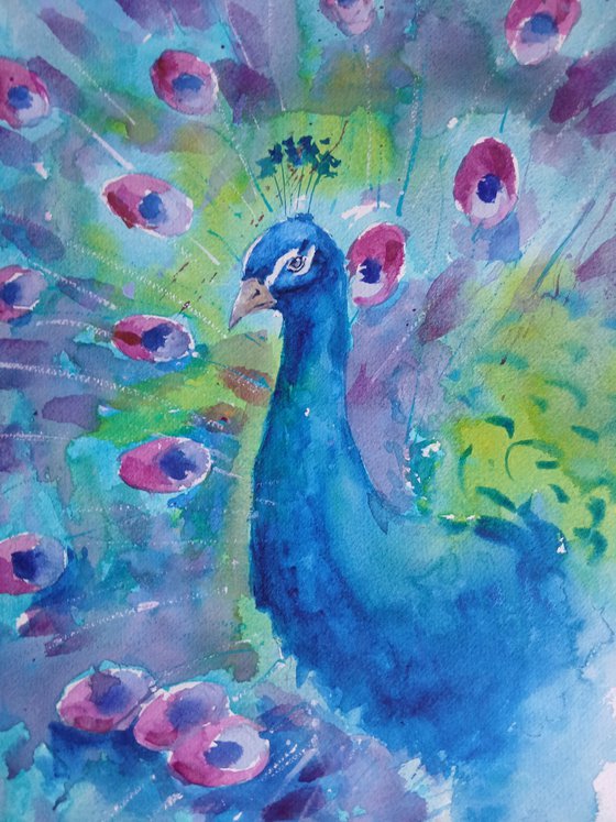 peacock
