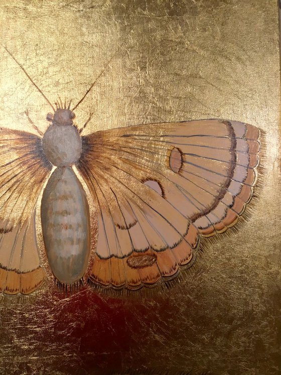 The Golden Moth Oil Painting on Lacquered Golden Leaf Canvas