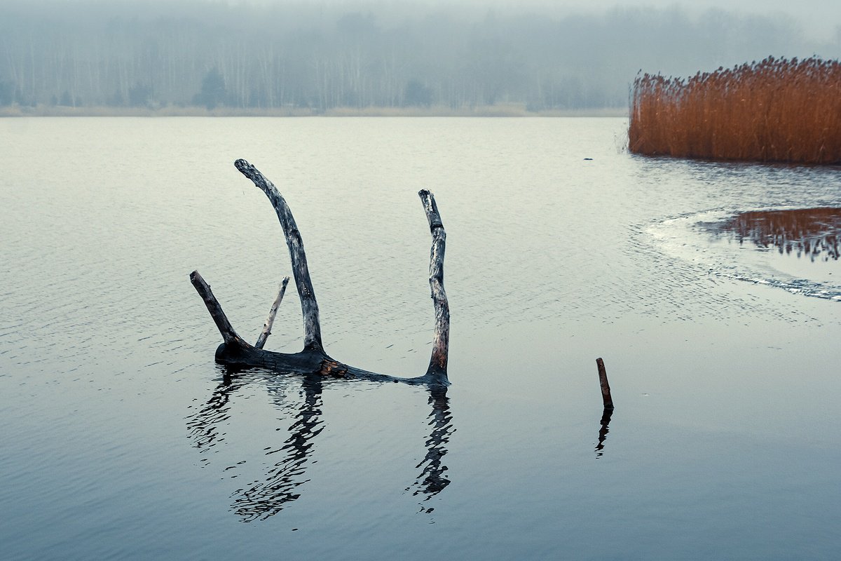 Quiet lake. by Valerix