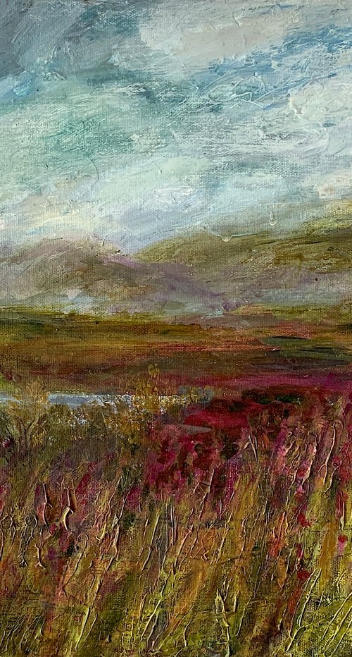 Moorland Lake by Suzsi Corio
