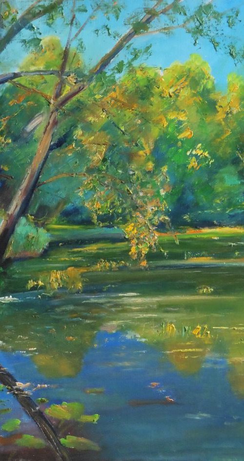 Fall on Bilous by Vyacheslav Onyshchenko