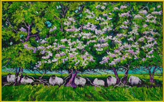 Flock of Sheep Under Pear Trees