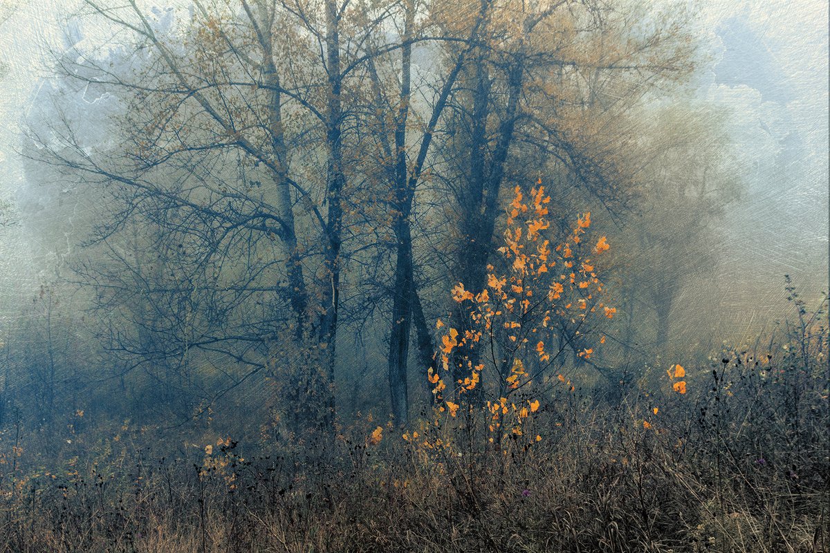 In the mist of autumn. Scene #1 by Valerix