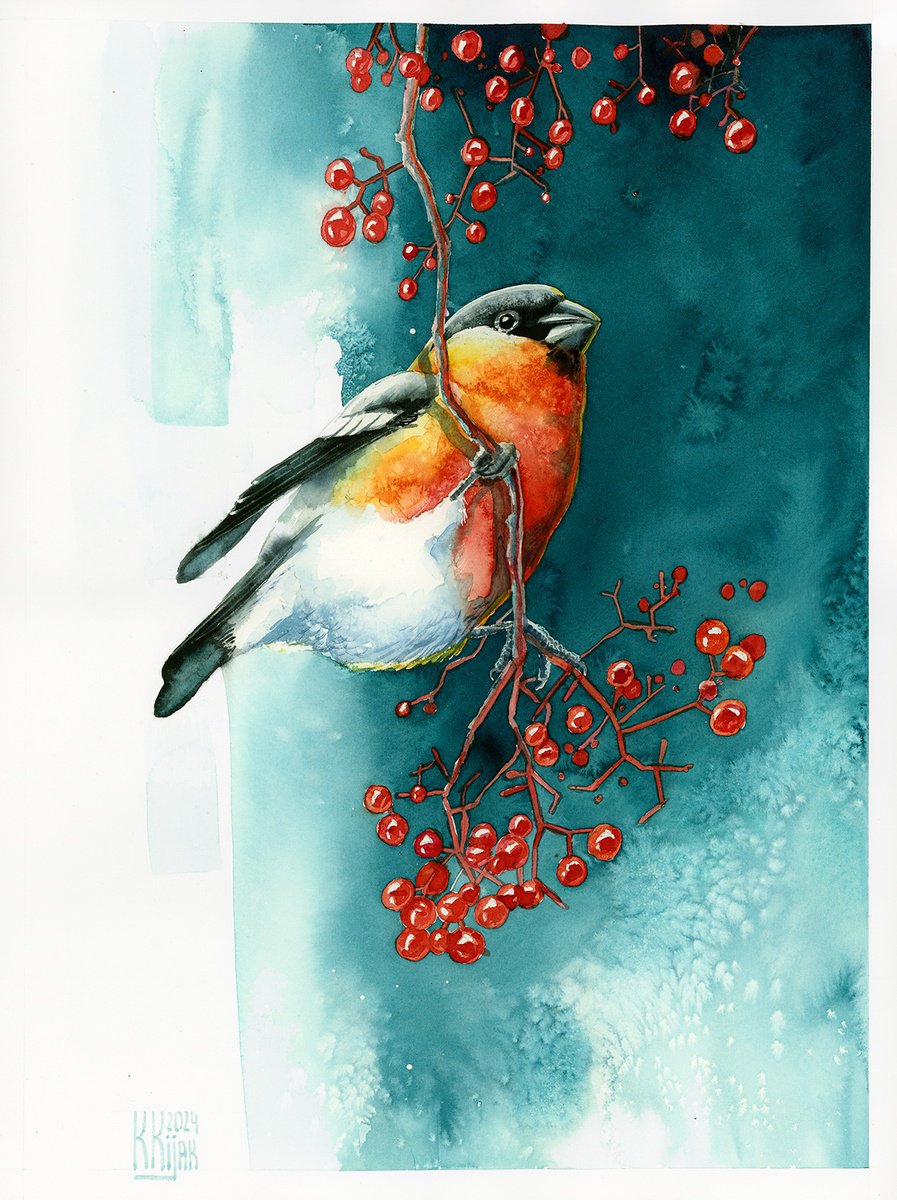 Bullfinch with rowan by Karolina Kijak