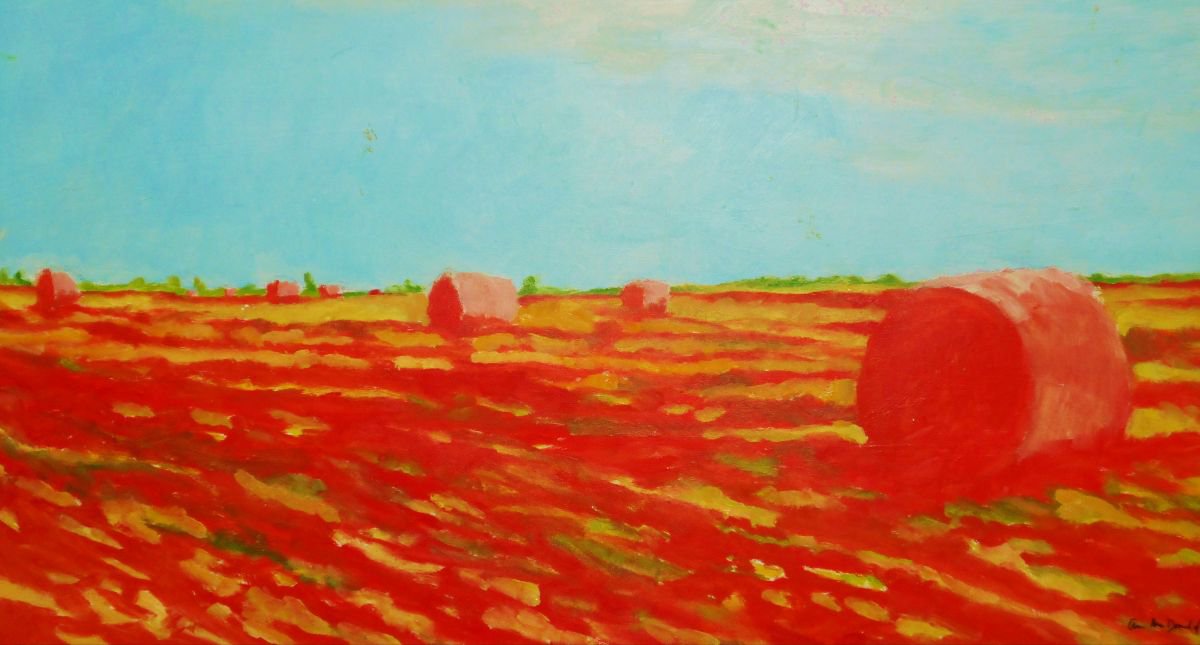 Hay Bales Dressed in Red by Ann Cameron McDonald
